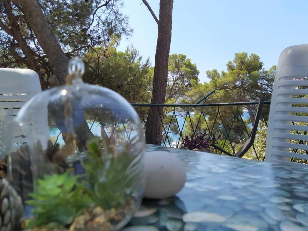House Vlasta Primošten Dış mekan fotoğraf